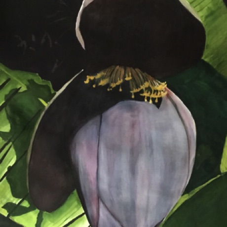 Banana Blossom Bloom
30x22 Banana Blossom Bloom
30x22